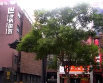 世桥国贸通透两居室,客厅大落地窗正对小区花园