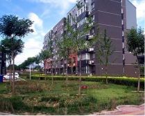 1号线玉泉路花园洋房,小区少有户型,南北双阳台