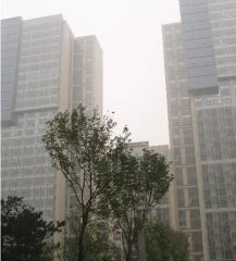 万达广场精装全明一居室中间楼层俯瞰花园