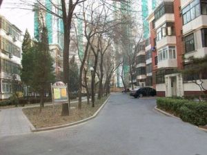 翠微西里2室1厅西南