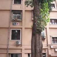 西三环花园桥地铁站旁电梯直达南向三居室采光好不临街
