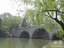豆各庄·扬州水乡·5室·2厅