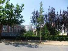 马坡花园二区 4室2厅 南 北