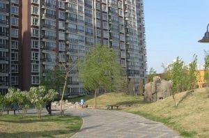 华龙美树地铁双桥步行438米精装南北两居