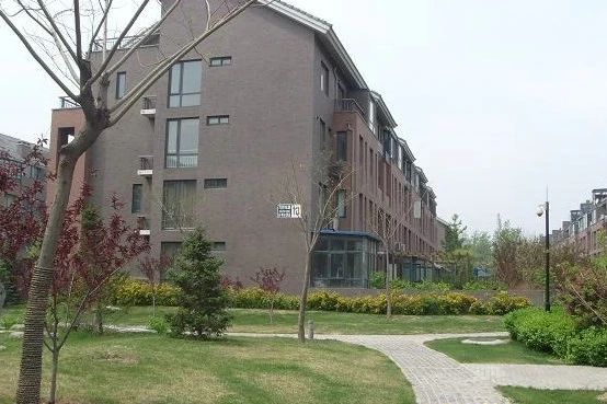 康城香草天空实景图