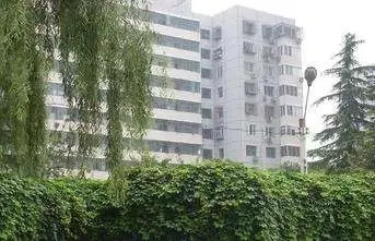 和平街八区实景图