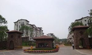 实测1080㎡使用面积150㎡lu台总部基地豪装新中式