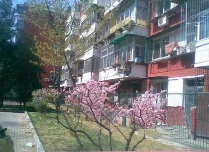 宋庄路小区实景图
