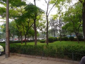 灯市口北河沿大街将装修一居室拎包住采光好