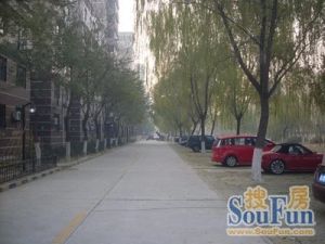 城建集团家属楼2室1厅南北