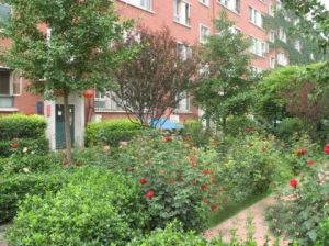 灯市口地铁旁+甘雨胡同+中间层+南北全明两居+无遮挡+采光好