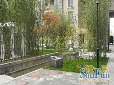 闹市口大街实景图