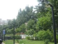 团结湖·摩码大厦·1室·1厅