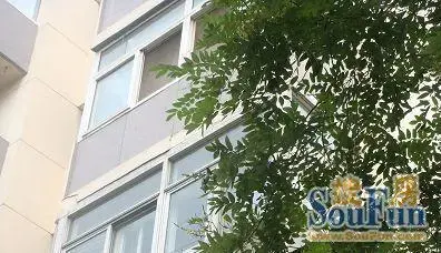晾果厂3号院实景图