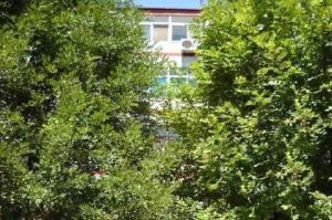 中关村北二条,闹中取静,人车分流,很安静