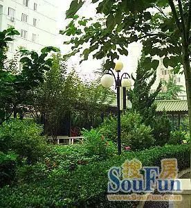 力学胡同实景图