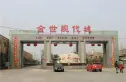 金世·现代城实景图