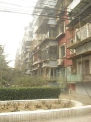 南北通透三居室、干部楼05年建每家有地下储物间