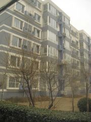 南北通透三居二厅、客厅主卧室朝南板楼、带地下储物间