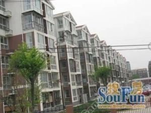 卫生局宿舍优质复式30万左右的精装修诚意售