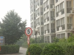 欣六园带电梯大两居室随时可看
