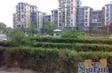 丰台大成路实景图