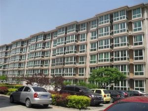 和平家园2室1厅南北