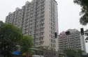龙凤鑫园实景图