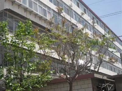 平翔东园实景图