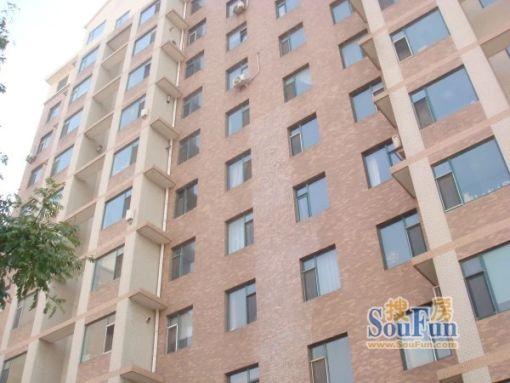  ���⡤��ҹ� 1��1�� ��/�� 