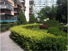 安贞苑50号院南北通透2居独立小区管理诚售!