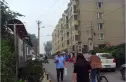安贞苑50号院实景图