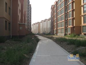 采光好 户型棒 小区环境干净整洁 人文素质高