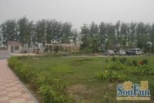 店长推荐 天籁湾 豪信花苑 精装联排