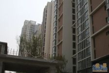 《下沉式庭院+双层空间 | 200㎡下跃,自然和生活都享有