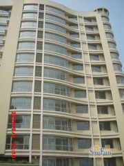 一期 前面无挡 全天采光 业主诚售