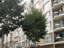 南北通透,大落地窗,采光充足,视野宽阔,交通便利。