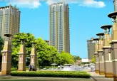 金海岸1号