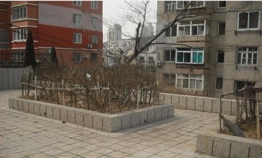  ��ҹ�1��1��1���ϳ���1350.00Ԫ/�³��� 