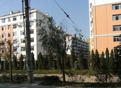 信义人生实景图