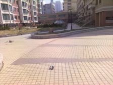 国际海水浴场南,富豪成电梯房错层4室2厅客厅向阳