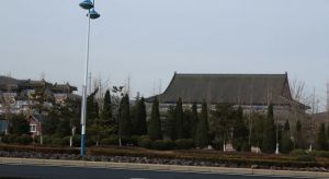金石滩轻轨站旁200米独栋别墅小区前排地势高
