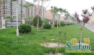 万达·车站路71号院·3室·2厅