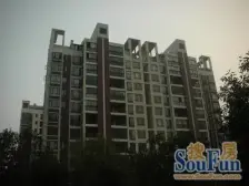 路劲青春悦园 3室1厅 南 北