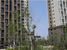 中海华庭 高新万达 地铁 适合刚需过度 央企开发