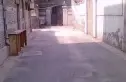 文星里实景图