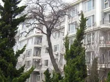 两室两厅,跃层,毛坯房,采光好,交通便利