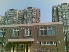 南庭新苑南区1室1厅东