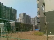 南庭新苑南区1室1厅东