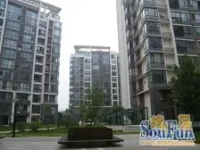 文博公园旁交通银行家属院 双气 安静 环境好